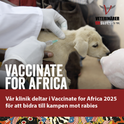 Vaccinate for Africa 2025