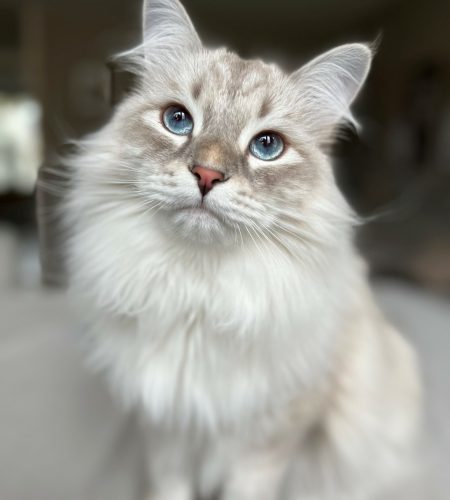 fritz4
